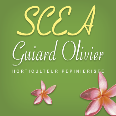 Guiard Olivier