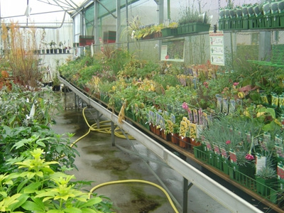 Prestations