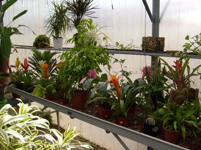 Prestations